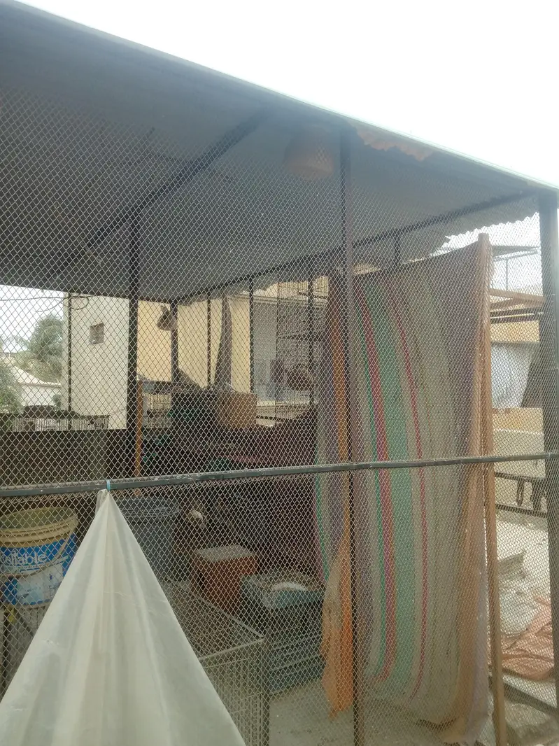 Master Cage for Sale | 8×19 Feet — photo 7