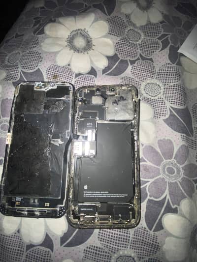 iPhone 13 pro max