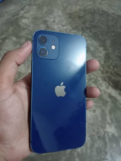 Apple iPhone 12