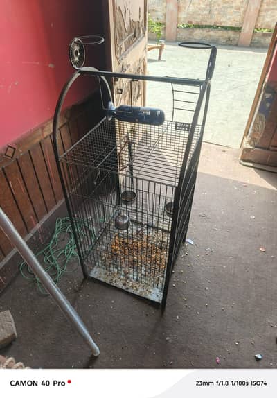 Fancy Cage