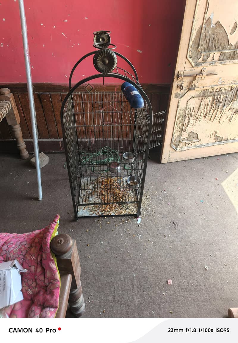 Fancy Cage 1