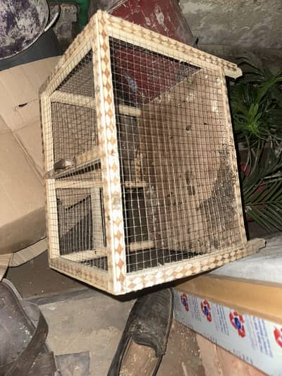 Best cages ever you find whatapp 03253704092