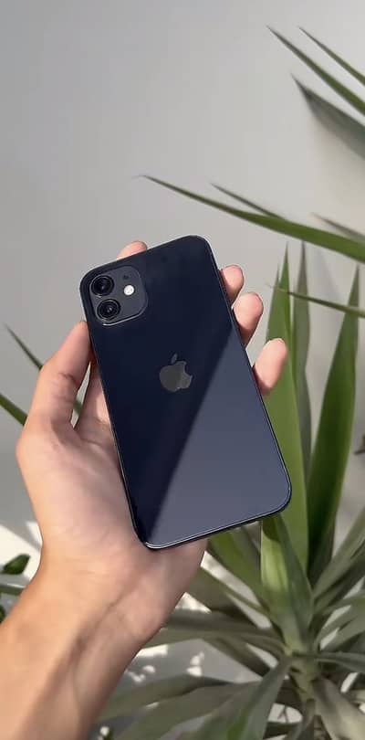 Apple iPhone 12