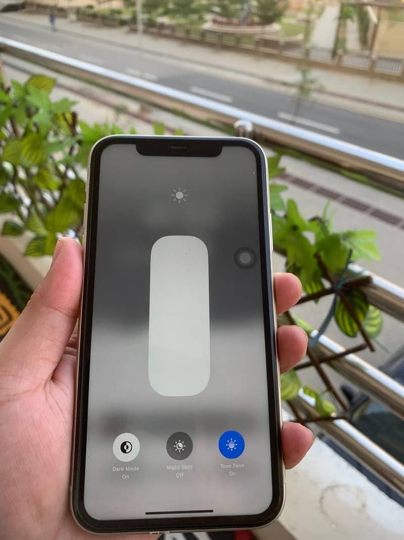 iPhone 11 4