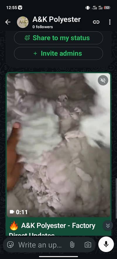 polyester