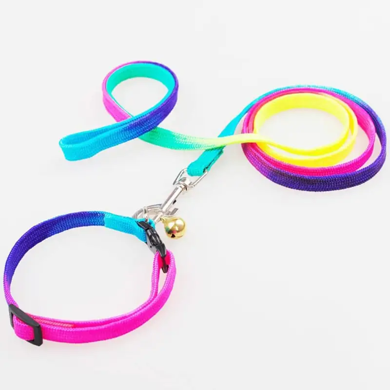 we are selling imported dog items in good price — photo 3