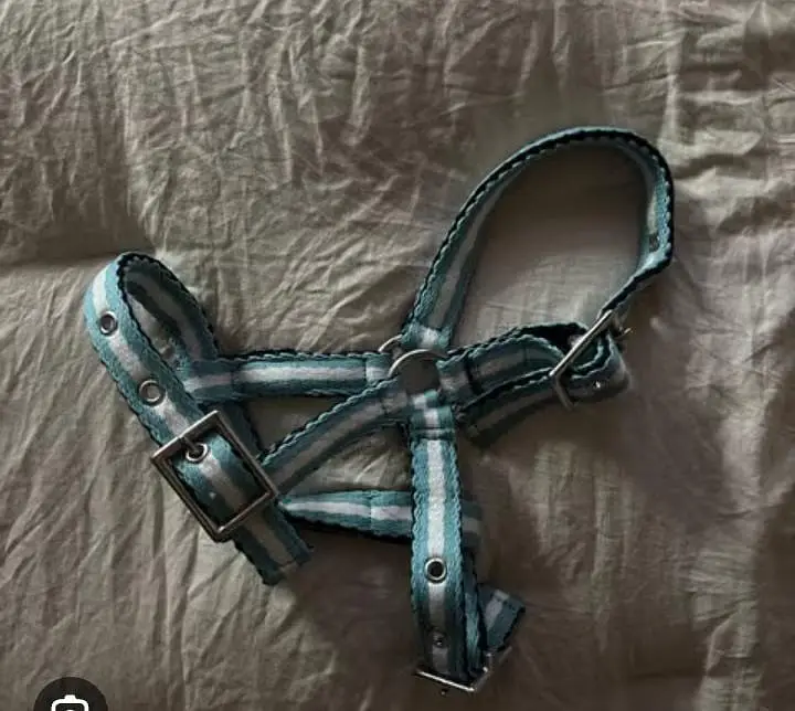 we are selling imported dog items in good price — photo 8