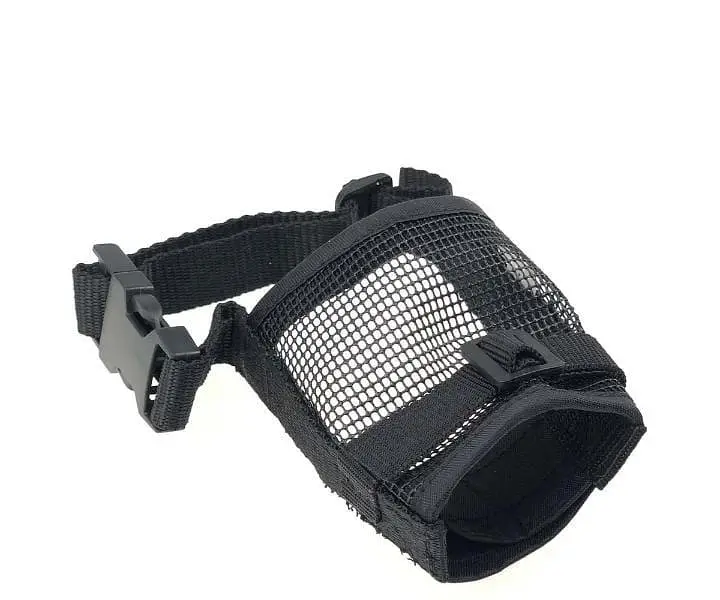 we are selling imported dog items in good price — photo 10