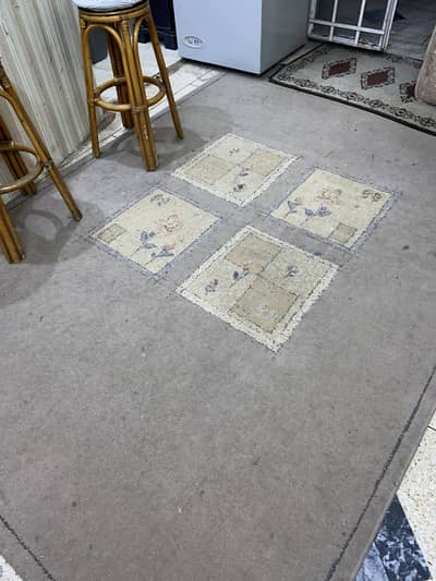 Nayyer Carpets Wall-to-Wall Cut-Pile Floor Carpet