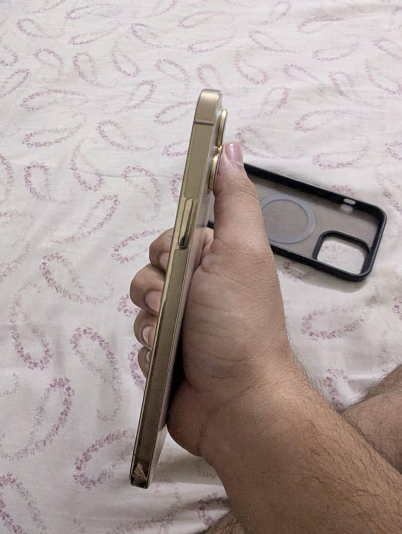 Apple iPhone 12 Pro Max 1