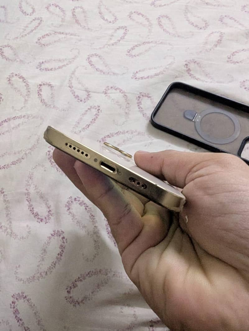 Apple iPhone 12 Pro Max 2
