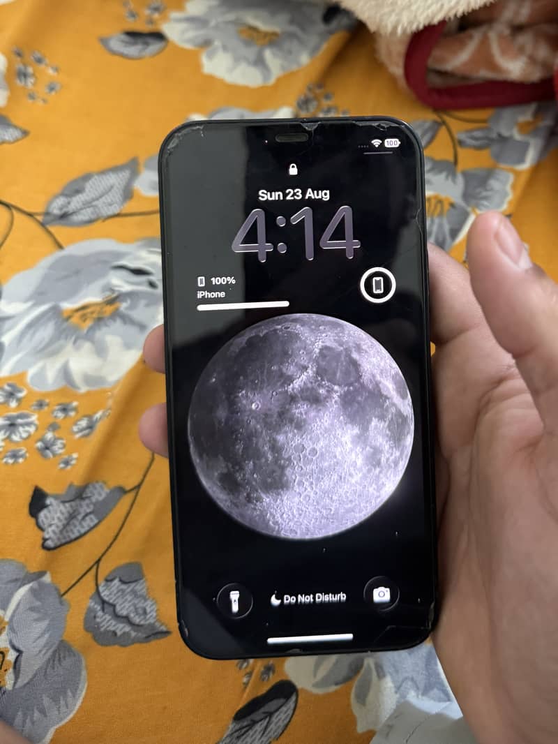 Apple iPhone 12 1