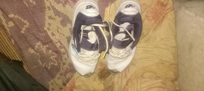 new balance spike's bowling spike's 03248481013