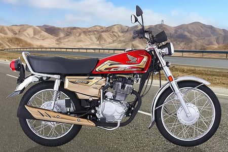CG 125 Self Start Special Gold Edition Red Colour