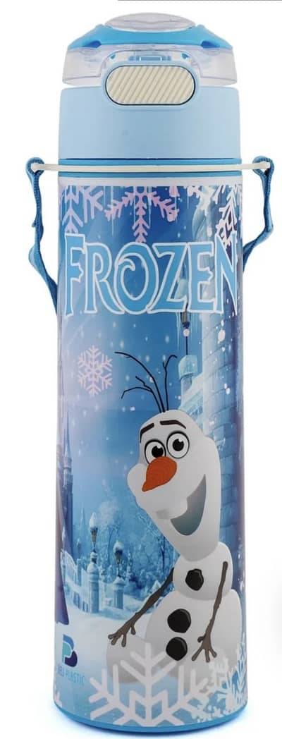 Frozen steel water bottle 650ml