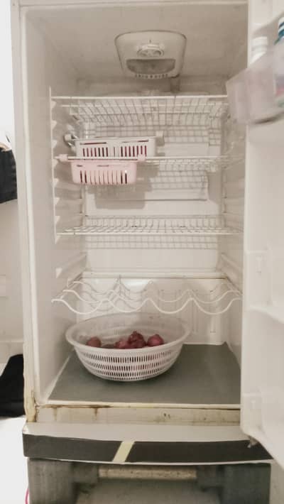 The Refrigerator