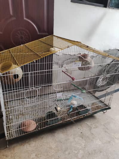cage for birds