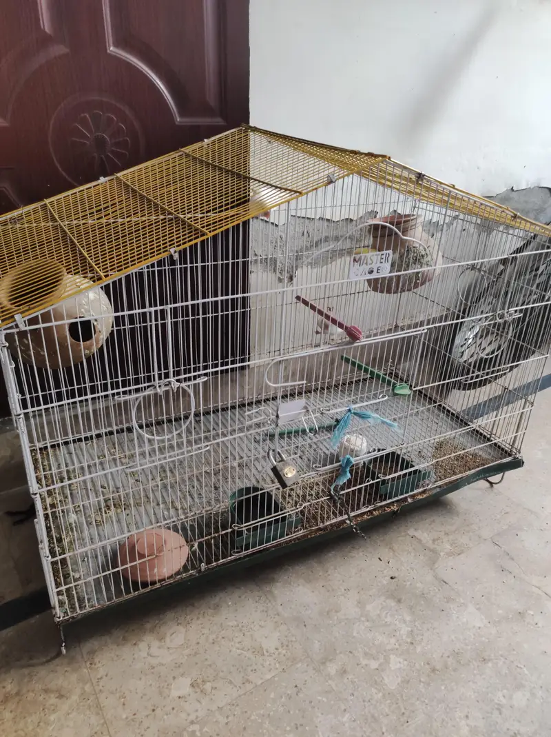 cage for birds — photo 2