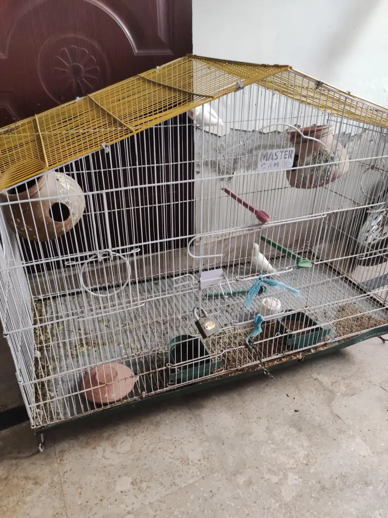 cage for birds — photo 3
