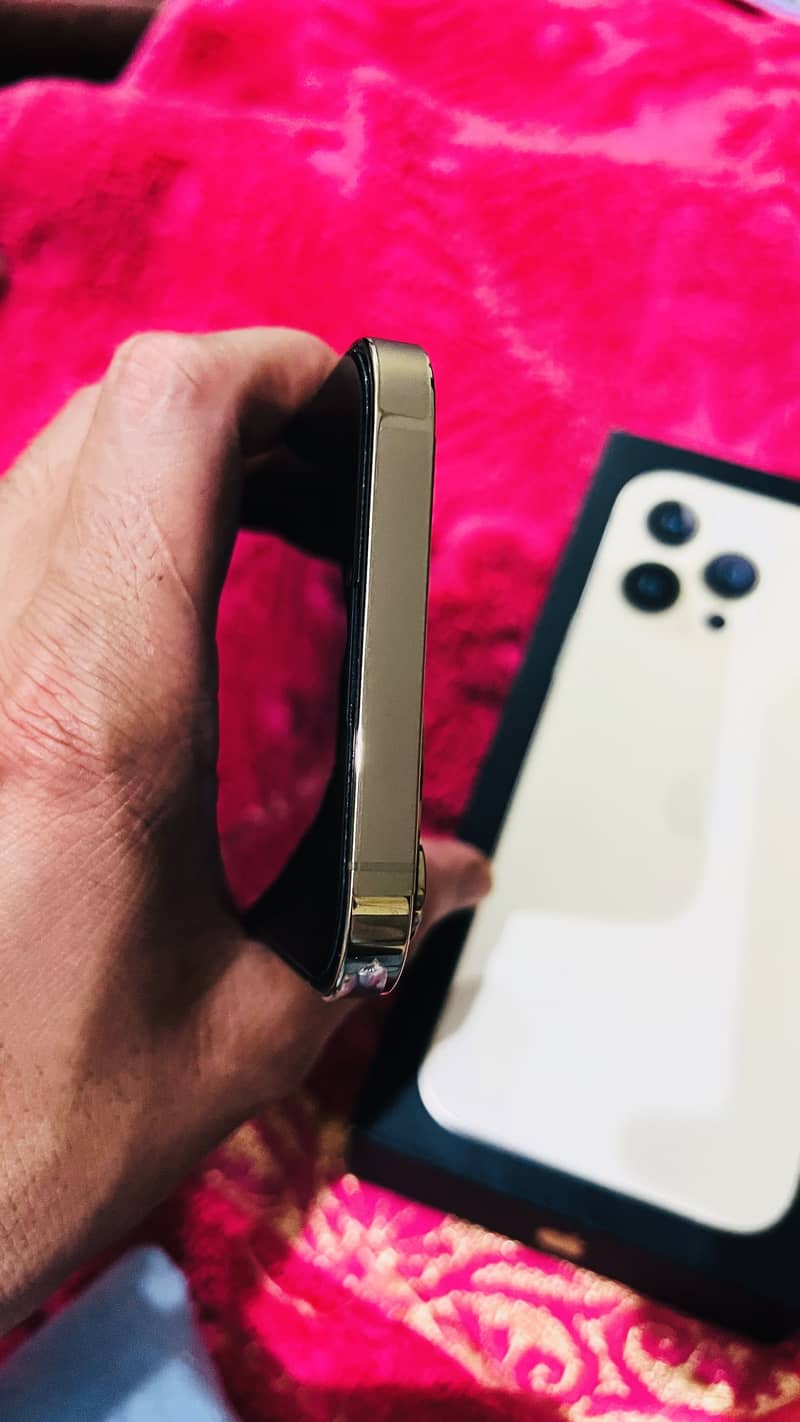 Apple iPhone 13 Pro Max 0