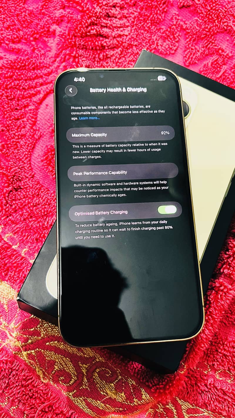 Apple iPhone 13 Pro Max 1