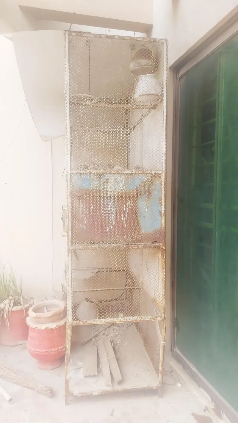 bird cage 4 doors size 8×6×2.5 feet 0 3 0 0 9 4 77 8 4 8 — photo 2