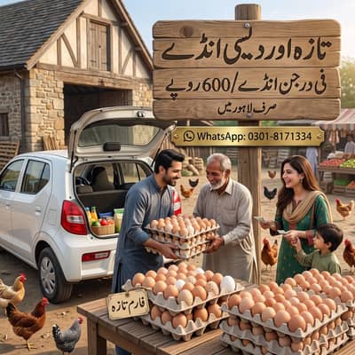 Desi Eggs for Sale | Organic Eggs | Pure Desi Eggs