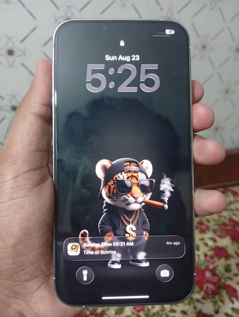 Apple iPhone 13 Pro Max 0