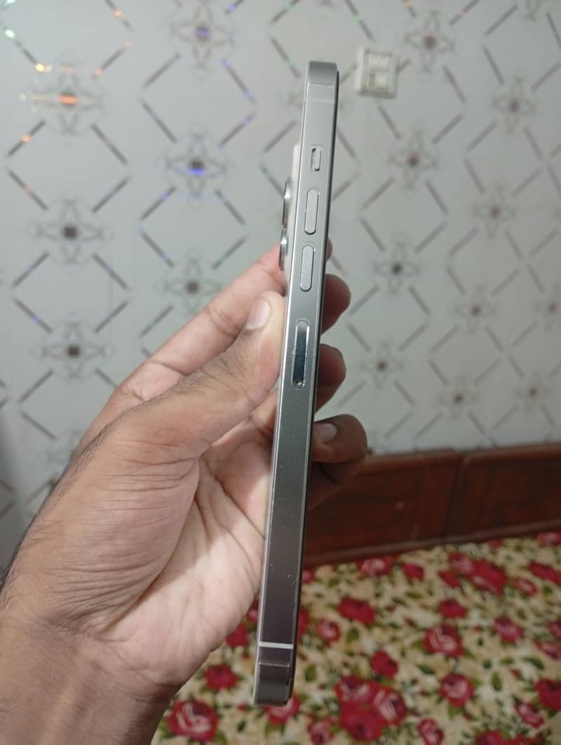 Apple iPhone 13 Pro Max 1