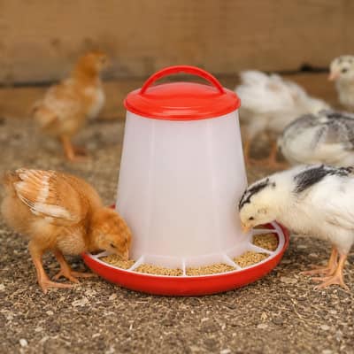 import quality premium poultry feeder