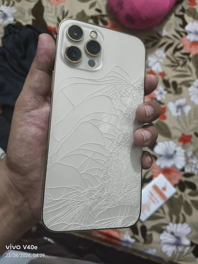 Apple iPhone 12 Pro Max non pta waterpackd