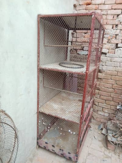 یہ ایک پنجرہ ہے اس میں چائے کبوتر رکھ کے مرغیاں کے طوتے رکھیں