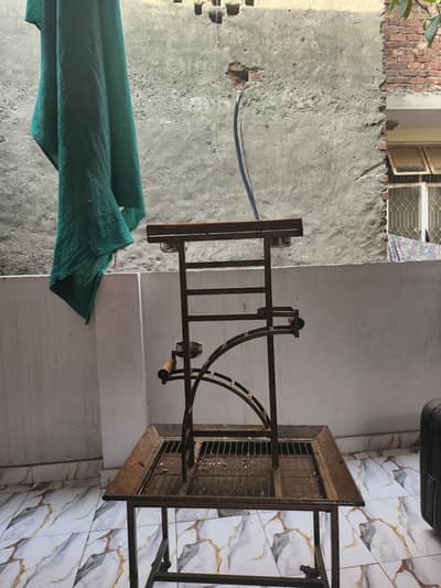 Bird stand exotic bird stand for macaw and other birds