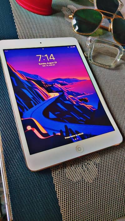 iPad 2mini, condition 10 out of 10, only Safari is working