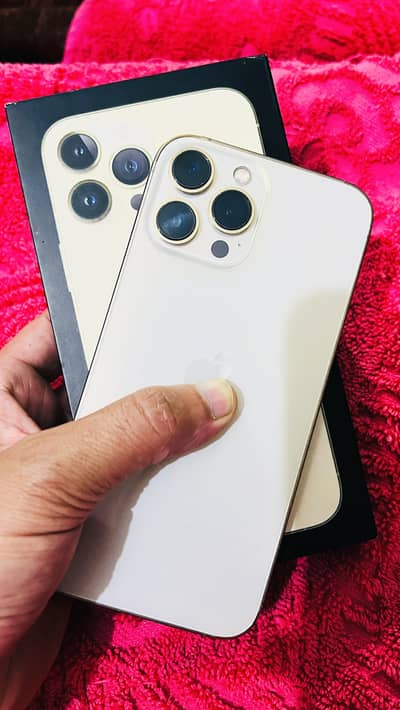 Apple iPhone 13 Pro Max