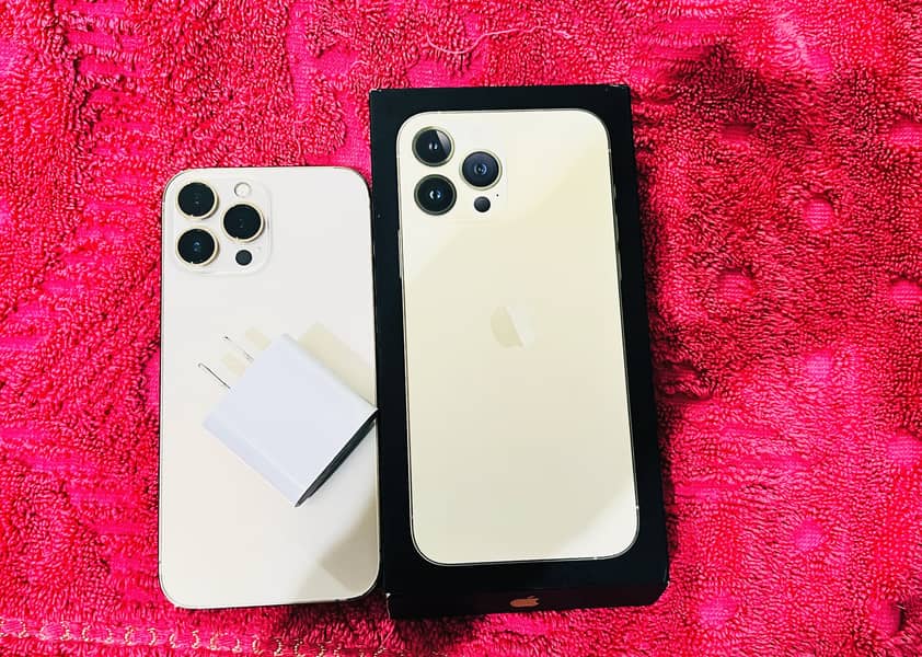 Apple iPhone 13 Pro Max 1
