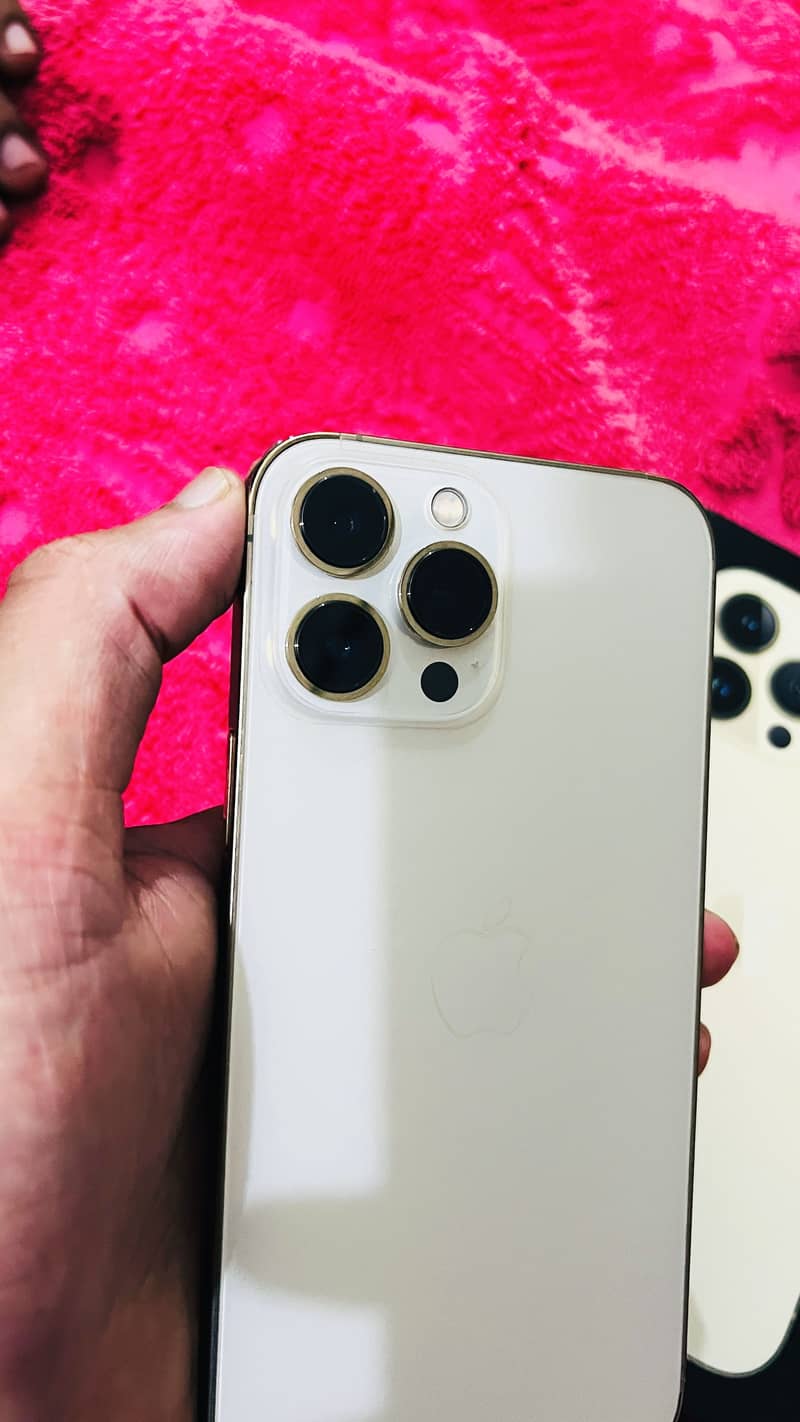 Apple iPhone 13 Pro Max 3