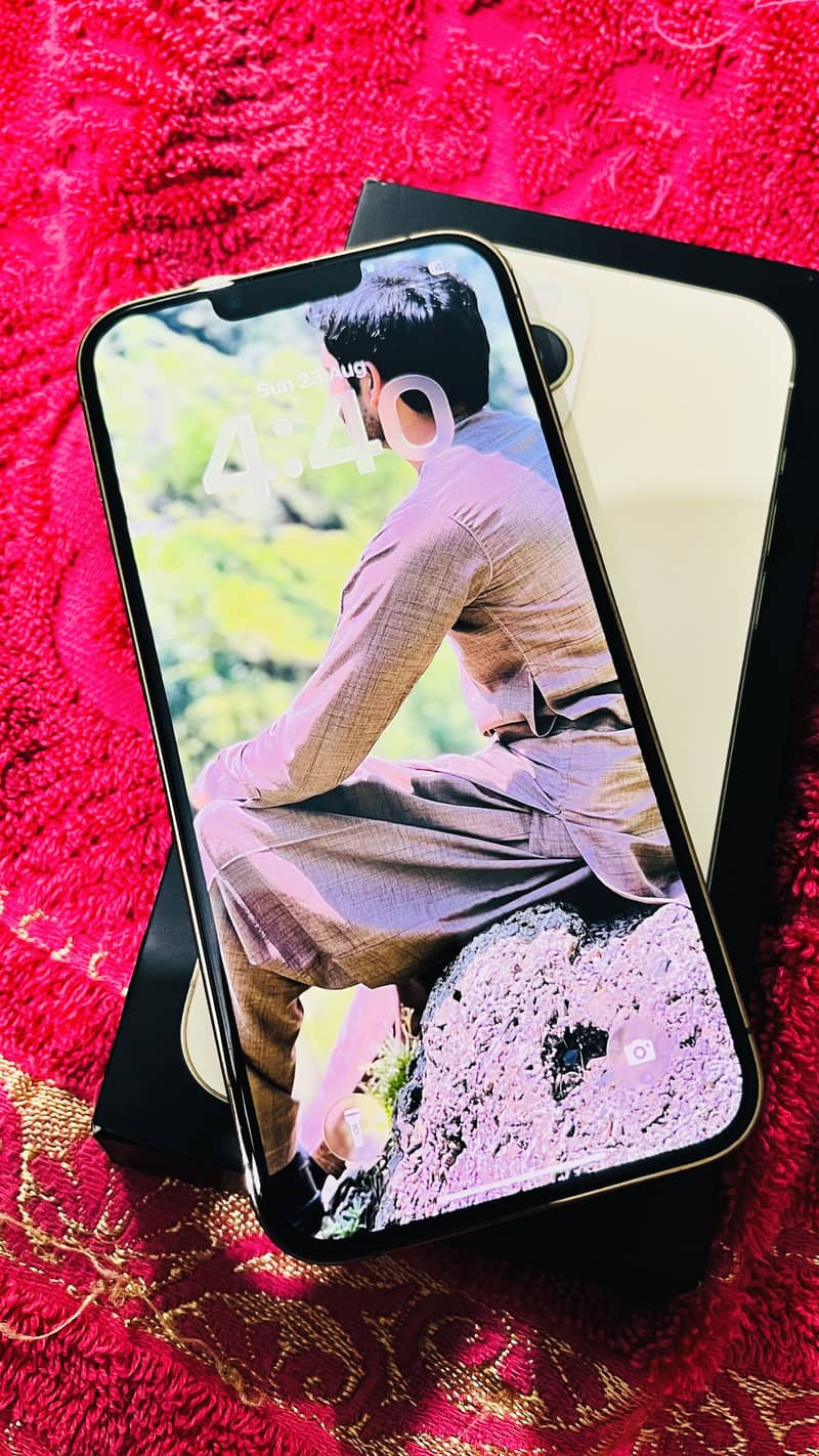 Apple iPhone 13 Pro Max 4