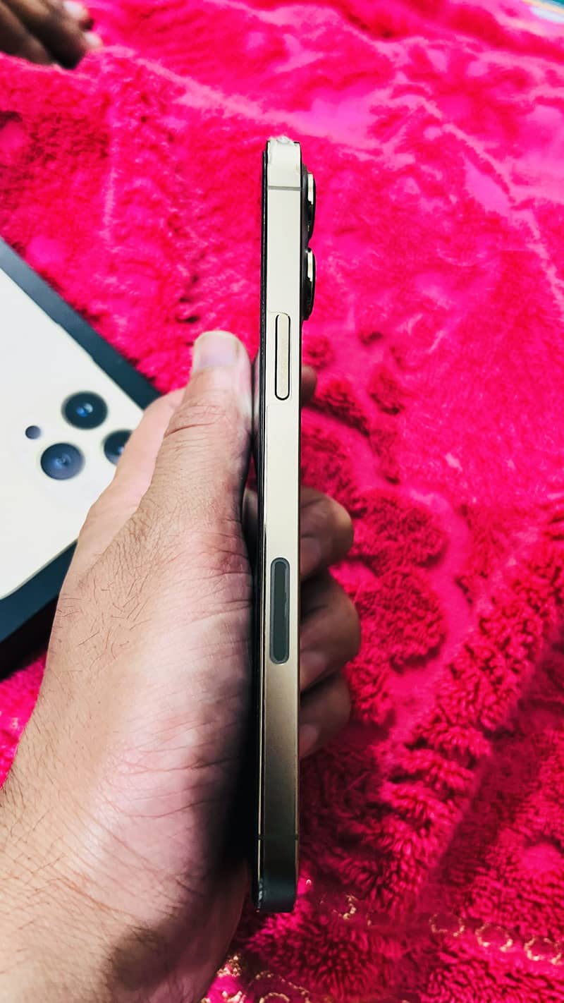 Apple iPhone 13 Pro Max 5