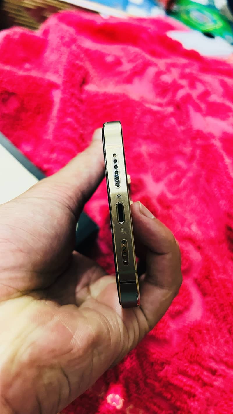 Apple iPhone 13 Pro Max 6