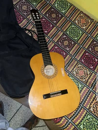 BRAND NEW GUITAR FOR SEAL