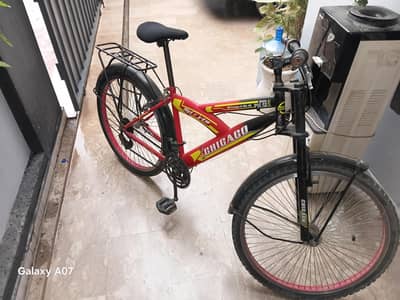 shicago bicycle