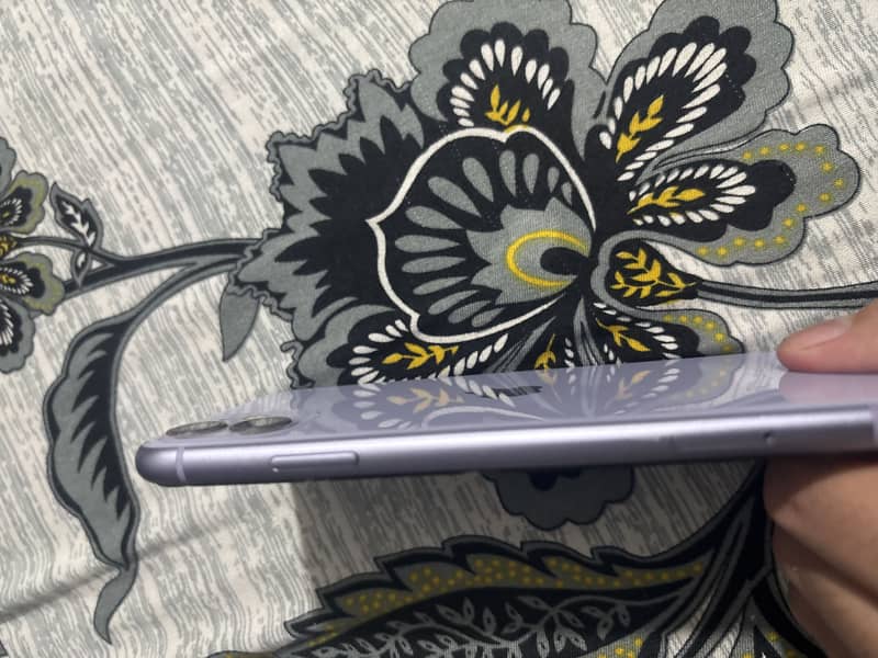 Apple iPhone 11 2