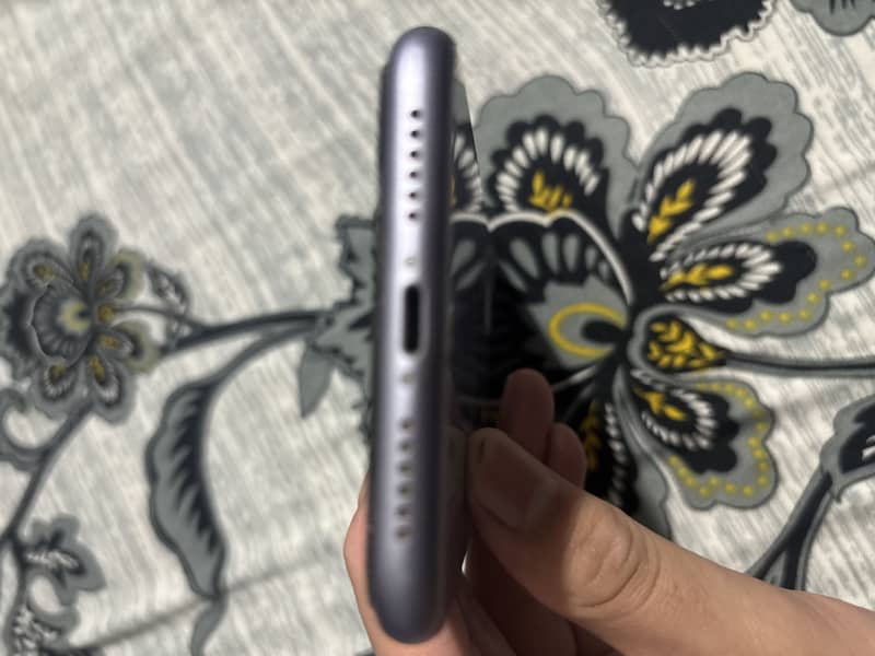 Apple iPhone 11 3