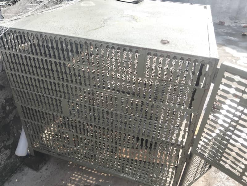 برائے فروخت ایک مرغا تین مرغیاں اور ایک بڑا جنگلہ وزن 55 کلو 1