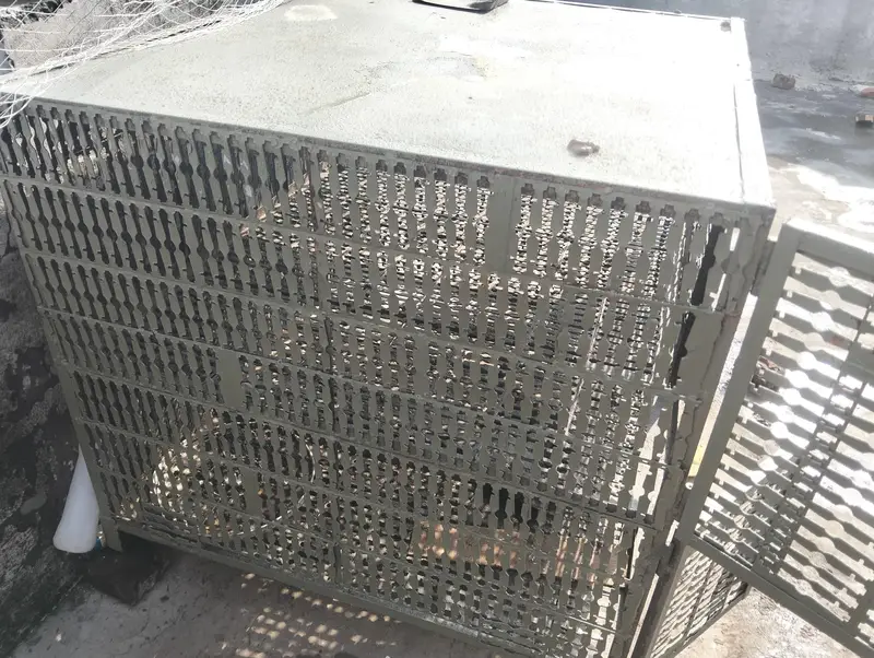 برائے فروخت ایک مرغا تین مرغیاں اور ایک بڑا جنگلہ وزن 55 کلو — photo 2