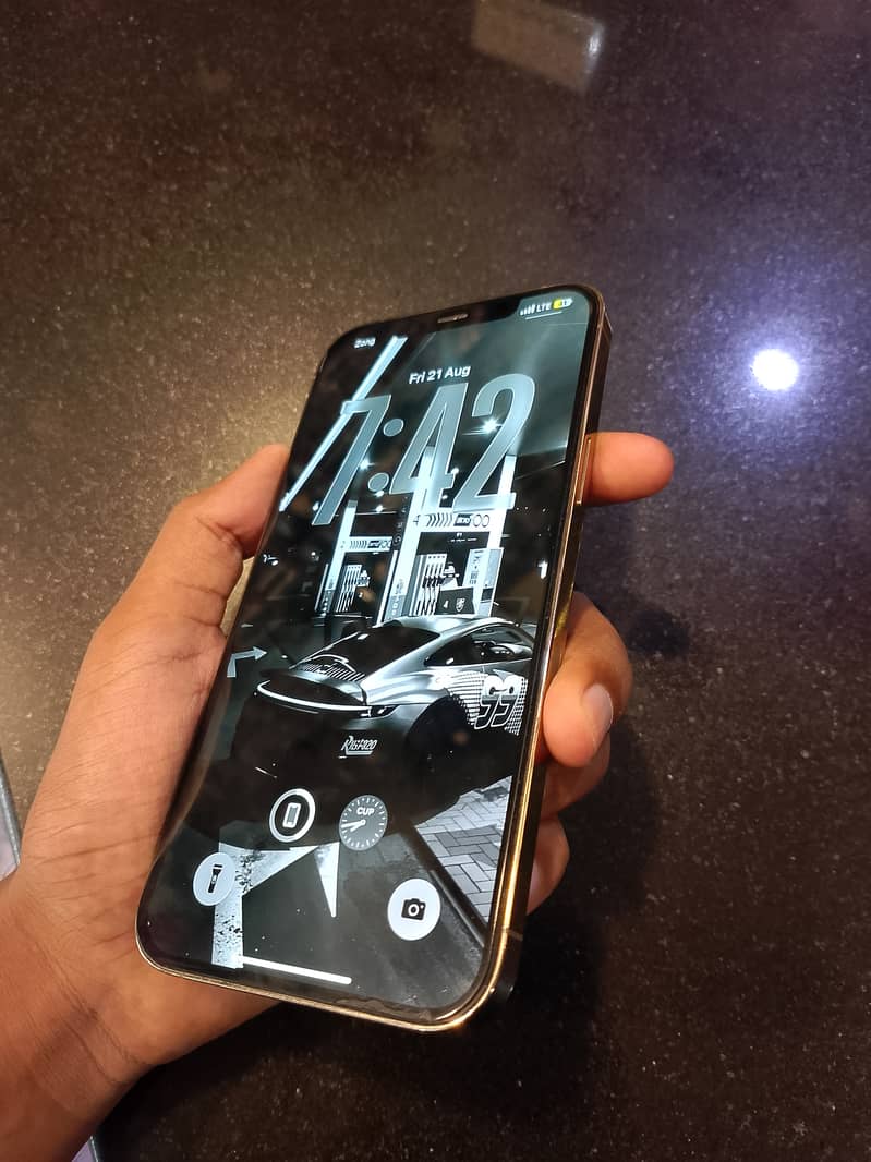 Apple iPhone 12 Pro Max 1