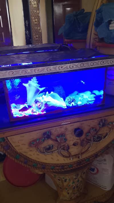 aquarium