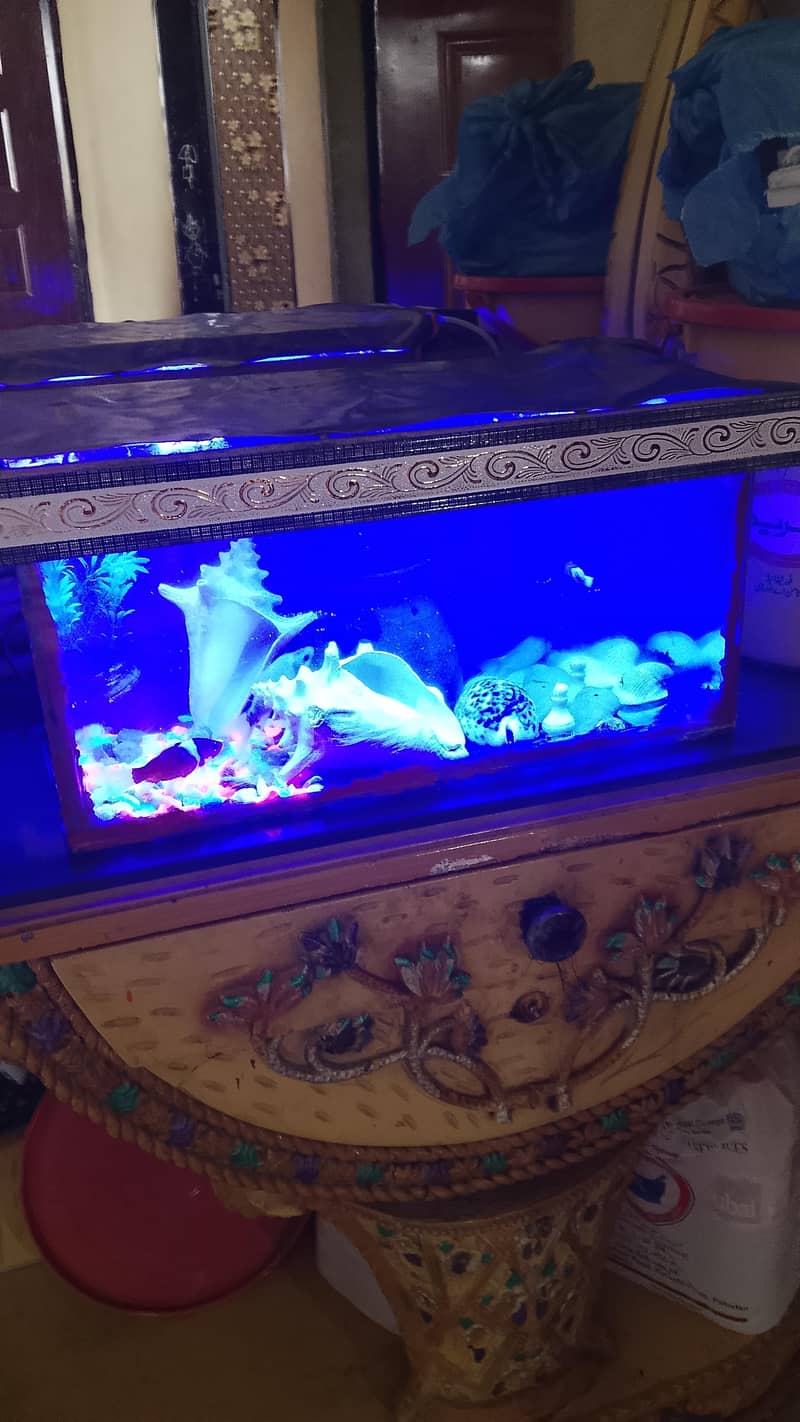 aquarium 0