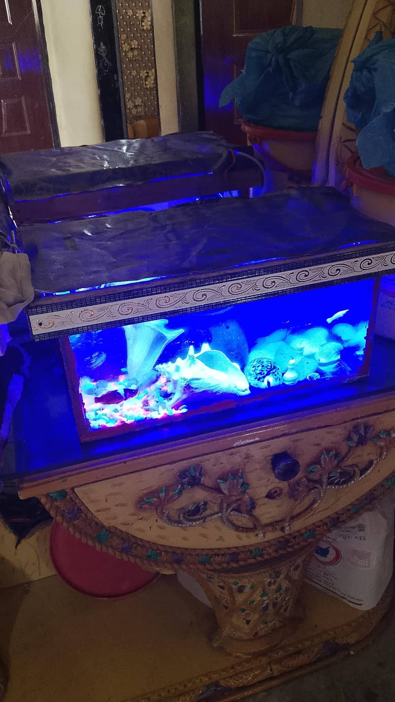 aquarium 1